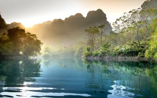高精度绿色